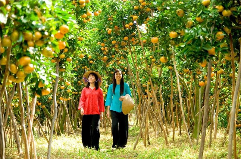 Hồ Chí Minh - Tour ghép - Miền Tây Nam Bộ - Phnôm Pênh - Standard- 3N2Đ- Code 529-1