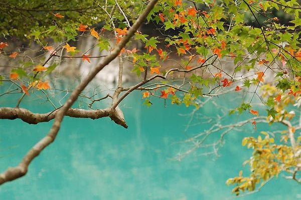 Hướng dẫn thủ tục xin visa Đài Loan
