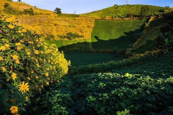 Pleiku - bức tranh trữ tình đầy chất thơ miền sơn cước