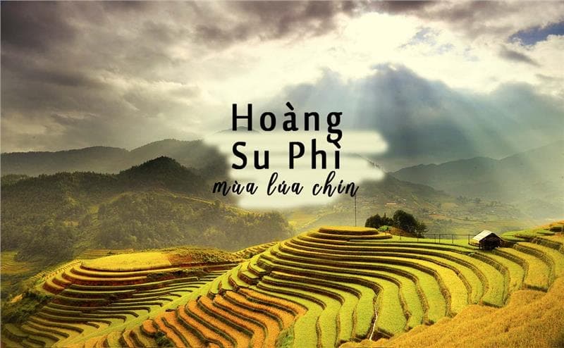 Tất – tần – tật kinh nghiệm phượt Hoàng Su Phì mùa lúa chín