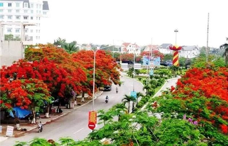 Vé máy bay Sài Gòn đi Hải Phòng giá rẻ