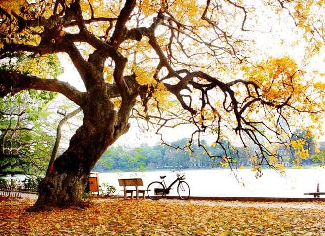 Vé máy bay Thụy Điển về Việt Nam giá rẻ