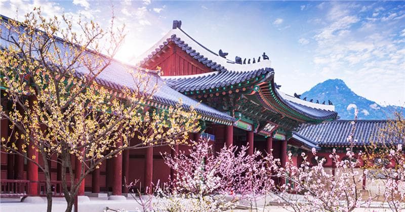 Hàn Quốc (Seoul – Nami – Everland – Tháp Namsan)
