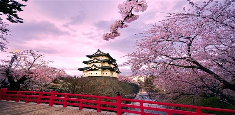 Tokyo – Núi Phú Sĩ - Yamanashi- Nagoya- Kyoto-Universal - Osaka
