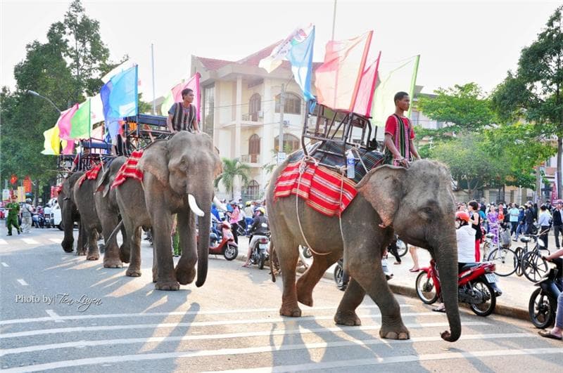 Vé máy bay Đà Nẵng đi Buôn Mê Thuột giá rẻ
