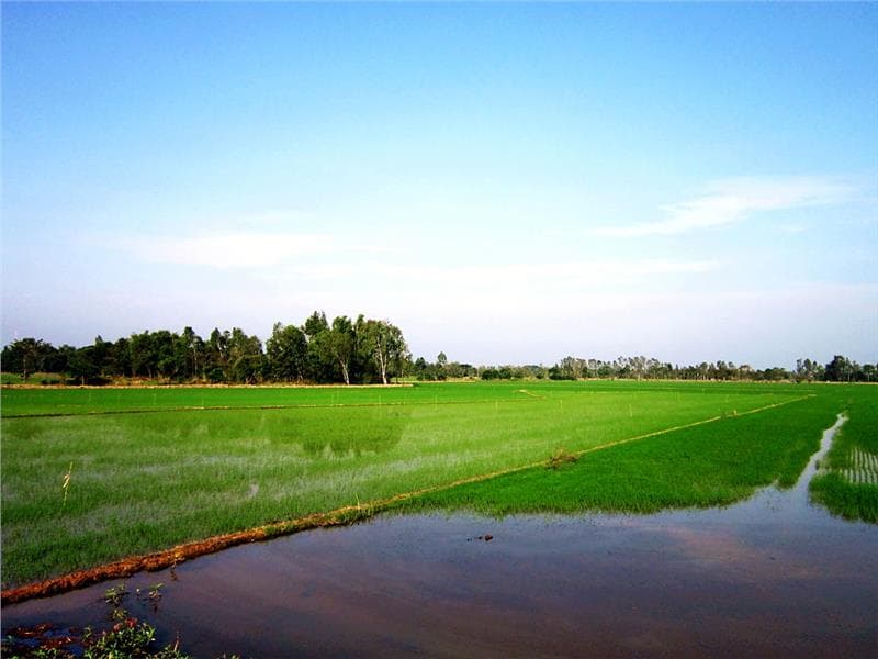 Vé máy bay đi Cần Thơ giá rẻ