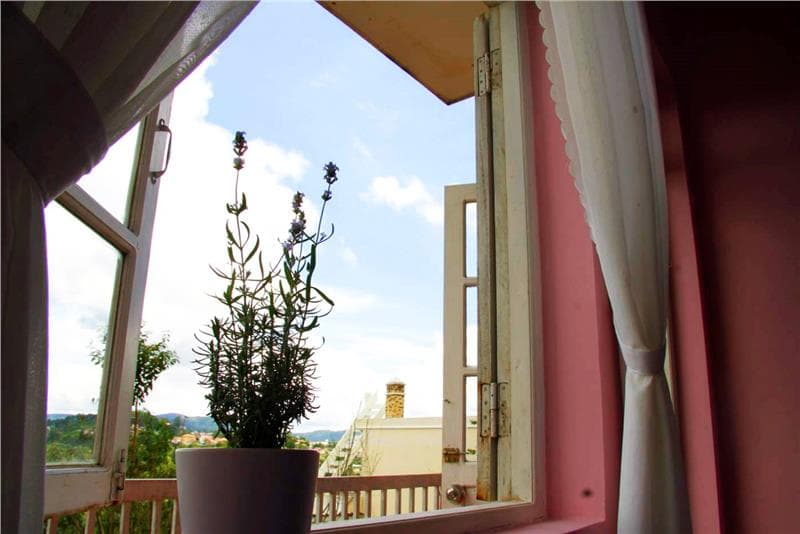 Đến Đà Lạt là-phải-ở-homestay