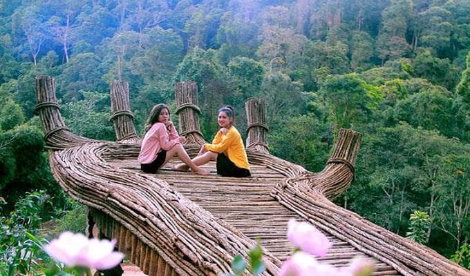 Bạn biết gì về Hoa Sơn Điền Trang Đà Lạt?