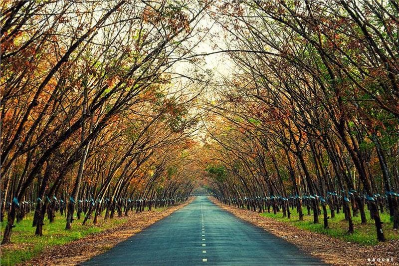 Vé máy bay đi Gia Lai giá rẻ