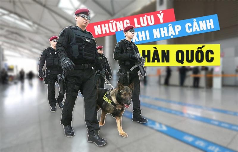 Một số lưu ý cho du khách mang thực phẩm khi nhập cảnh Hàn Quốc