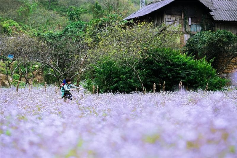Kinh nghiệm du lịch Mai Châu 2018