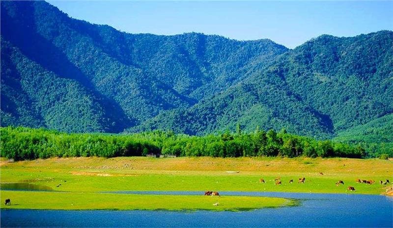 Những "thảo nguyên Mông Cổ" đẹp mê mẩn ở Việt Nam