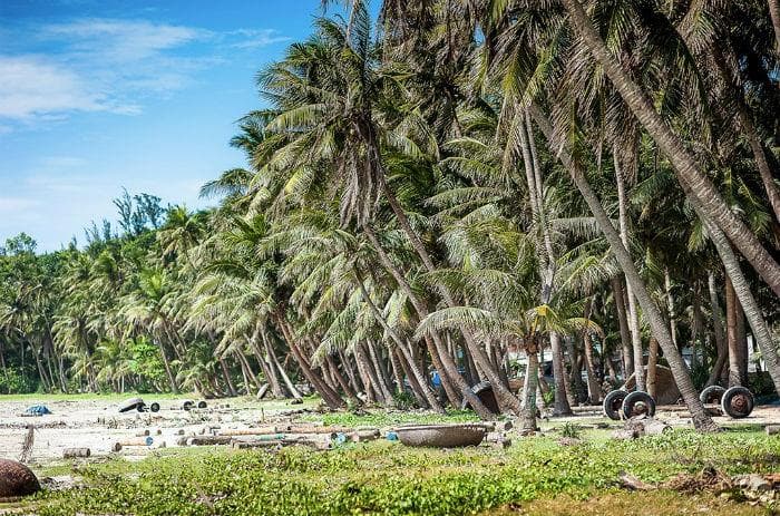 Hội An - Tour Tham quan Thánh Địa Mỹ Sơn - 1/2 Ngày - Code 448
