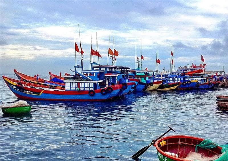 Vé máy bay Hà Nội đi Quảng Ngãi giá rẻ