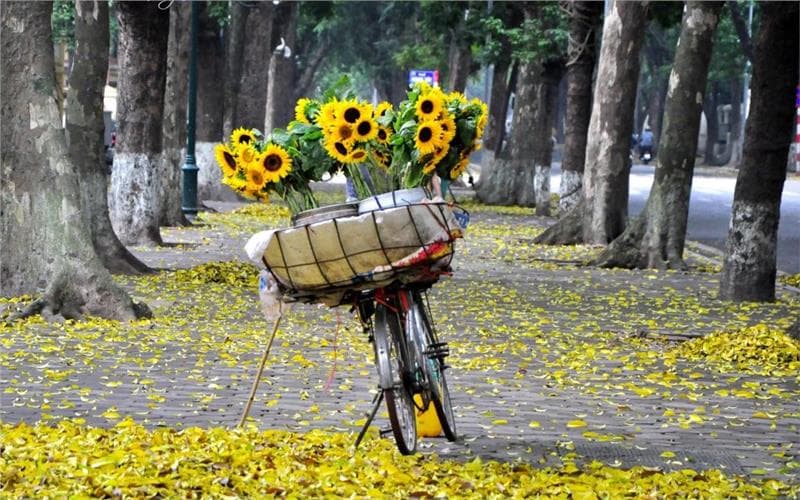 Những địa điểm ngắm mùa thu vàng đẹp nhất Hà Nội