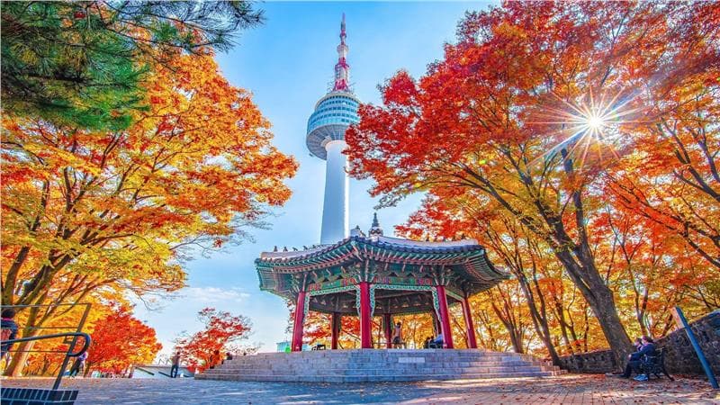 Vé máy bay đi Korea giá rẻ