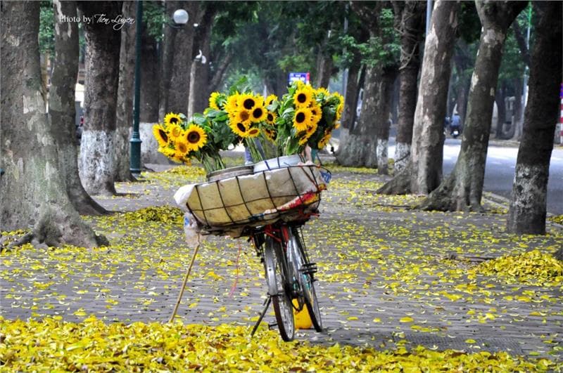 Kinh nghiệm tham quan Phố cổ Hà Nội