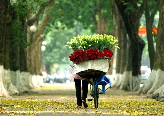 Vé máy bay Đà Lạt đi Hà Nội giá rẻ