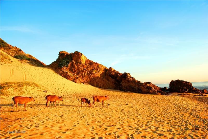 Vé máy bay đi Quảng Bình giá rẻ